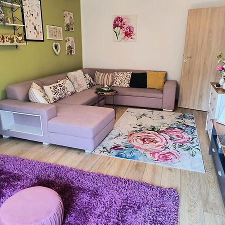 Sweet Garden Residence Braşov Extérieur photo