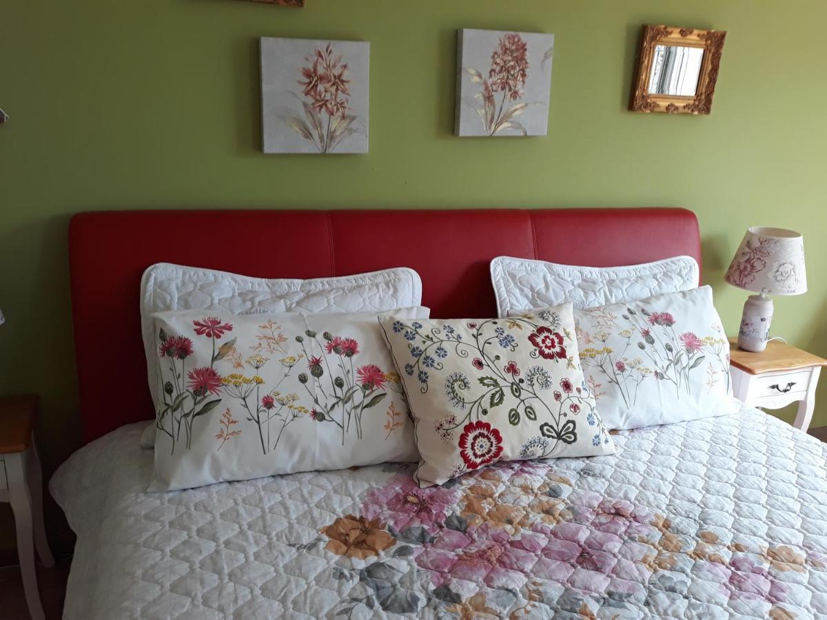 Sweet Garden Residence Braşov Extérieur photo
