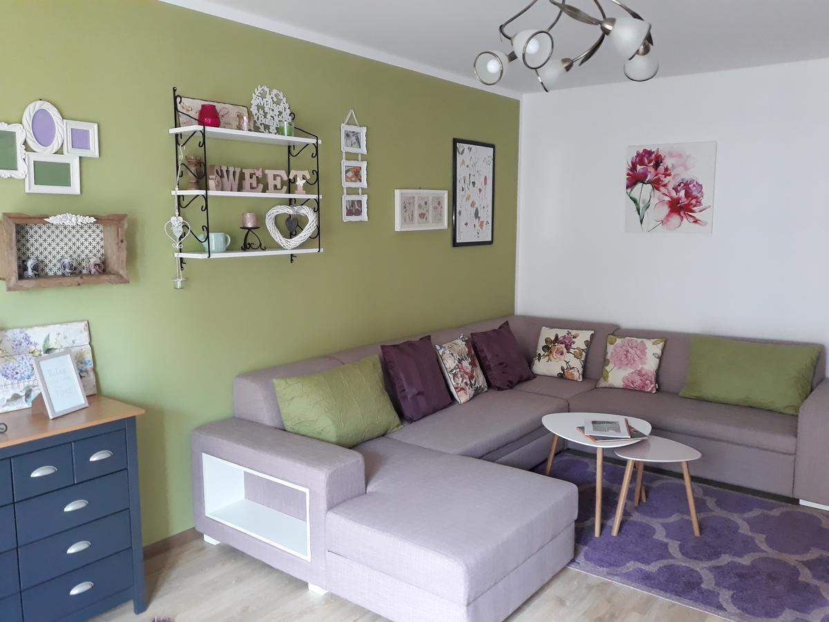 Sweet Garden Residence Braşov Extérieur photo