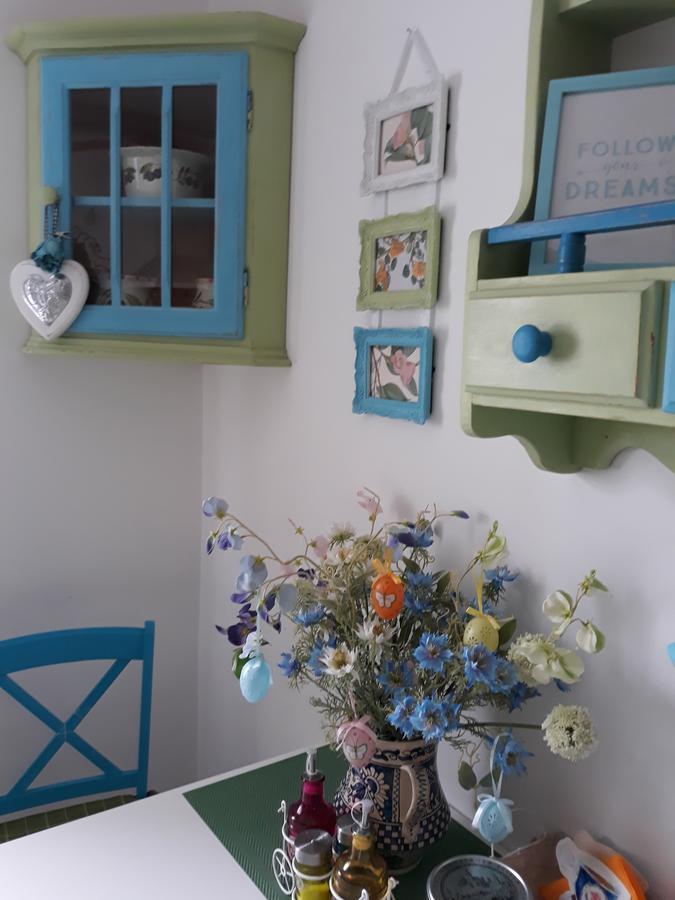 Sweet Garden Residence Braşov Extérieur photo