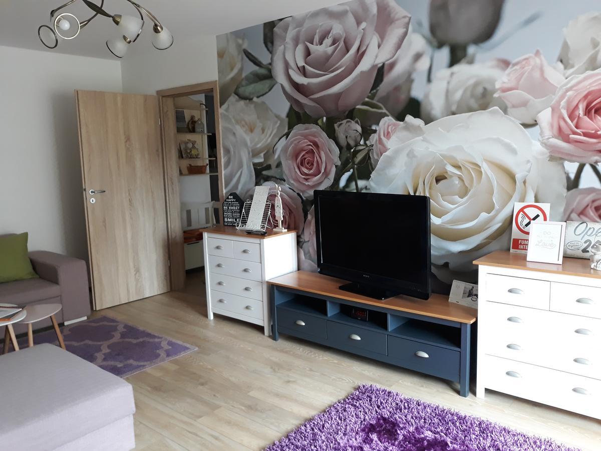 Sweet Garden Residence Braşov Extérieur photo